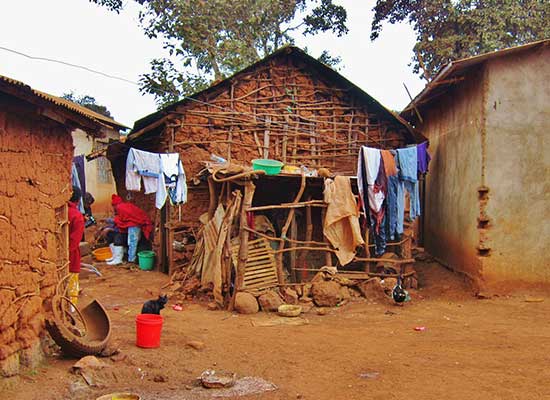 Environnement et durabilité